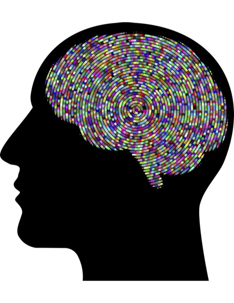 Illustration of human brain.